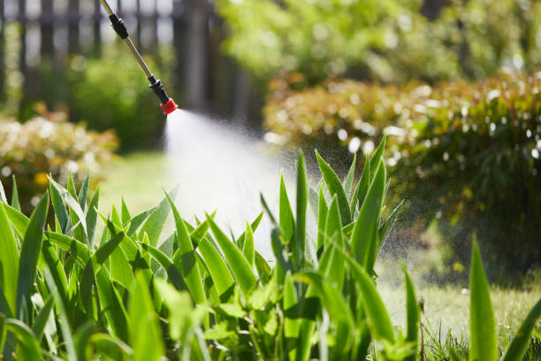 Tamper-Resistant Bait Stations for Rodents in O'Neill