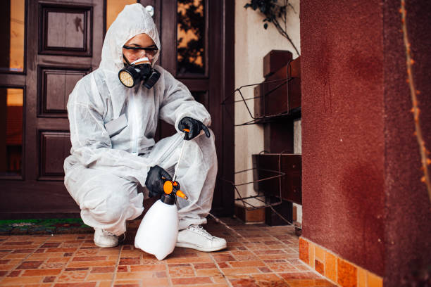 Attic and Crawl Space Rodent Treatment in O'Neill
